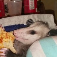 PizzaOpossum