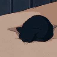 lechatnoir