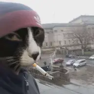 WiggerNationalist