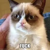 grumpycat
