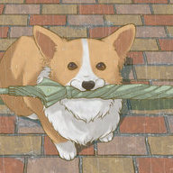 Lurking Corgi