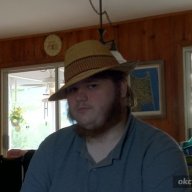 The golden neckbeard