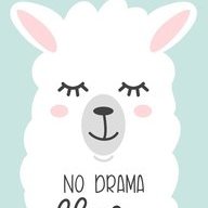 nodramallama