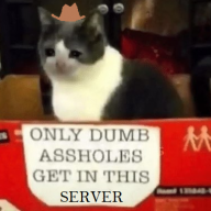 sad cowboy cat