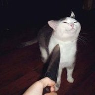 Knife Cat