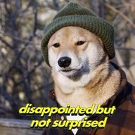 Shibe