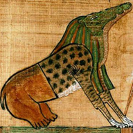 Crocophile