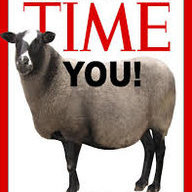 wethesheeple