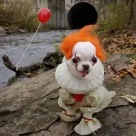 ResidentHousepet