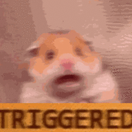 I liek fr0gs