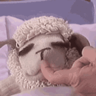 Lamby Lams