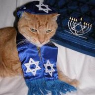 TheFelineJew