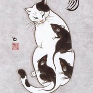 Ratoyan