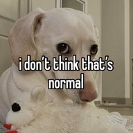 Homophobic white dog
