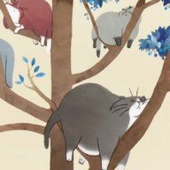 Cat in Tree