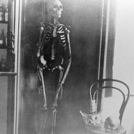 Spooky Scary Skeleton