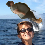 Whale Watcher