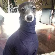 kermit