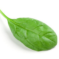 Just call me Spinach
