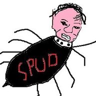 dgsw