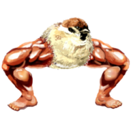 soy