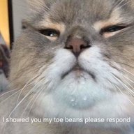 MeowZedong