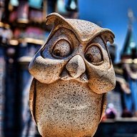 disneyland