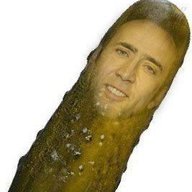 ClassicVlasicPickle