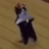 giddy-up