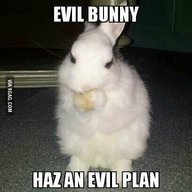 Evil Bunny