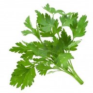 Sprig of Parsley