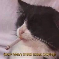 PanickedFurry