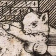 Ultimate Cat Person