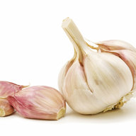 garlicfarmer