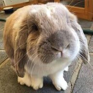 MrTickles