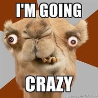 DefinitelyNotSane