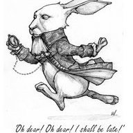 WyattRabbit2