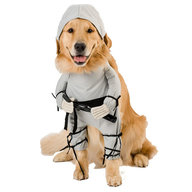 ninja_boi