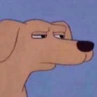 Suspicious dog