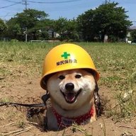 SaitamaSeibuLions