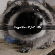 Racoober