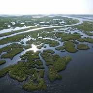 mechanista_mississippi
