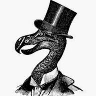 Mister Dodo