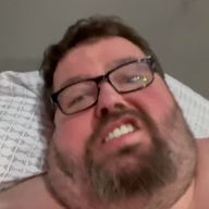 HAMS Sandwich