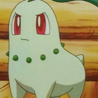 Chickorita
