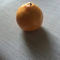 OrangeChickenxo