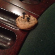 cookie screwed to a table