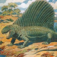 Dimetrodon