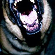 Terror Artist
