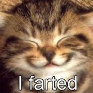 MyCatIsFarty